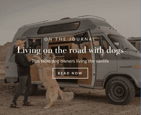 Simpler ways vanlife dogs on the road