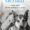 Simpler Ways Vanlife and Roadtrip Marketplace Simpler Ways Denali: A Man, a Dog, and the Friendship of a Lifetime - Ben Moon Paperback